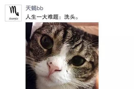 为什么天蝎男发的朋友圈又删掉