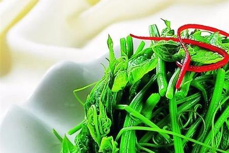 南瓜藤最好的保存方法