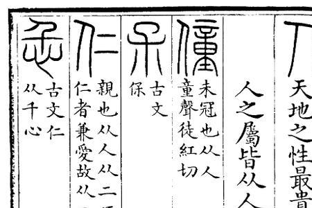 保公是什么意思