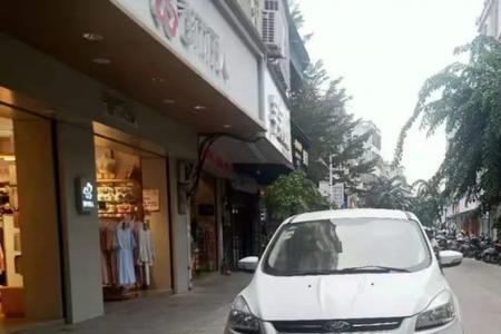 三亚电动车牌可以在洋浦开吗