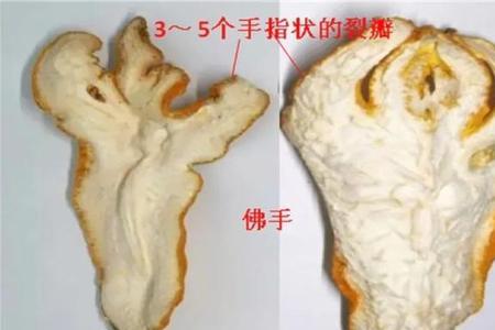 佛手与木瓜的区别