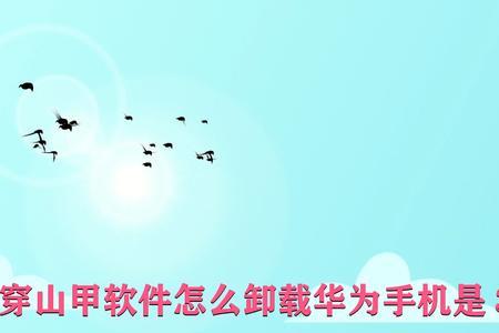 穿山甲应用如何删除