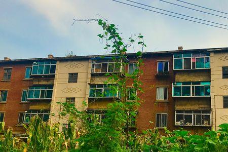 旧茬是什么，意思