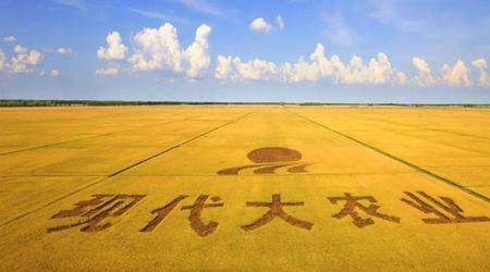 北大荒创始人