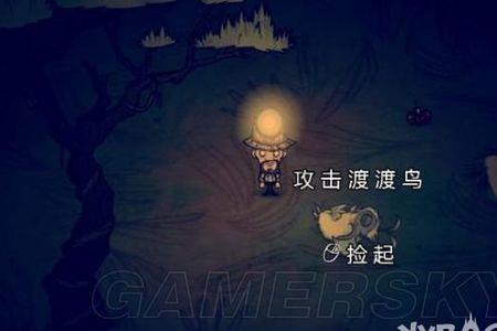 饥荒怎么抓热带鱼群