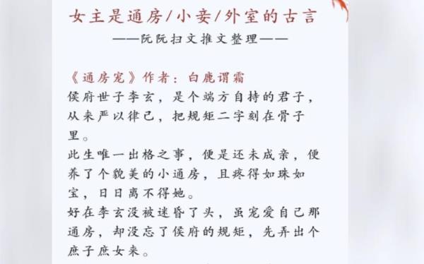 有哪些好看的小妾小说