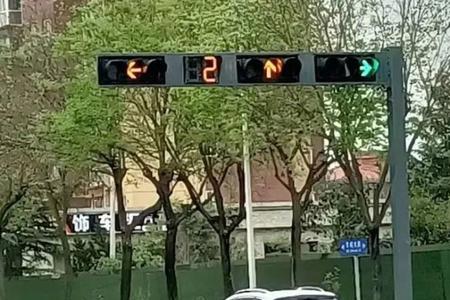 红绿灯指的是什么生肖