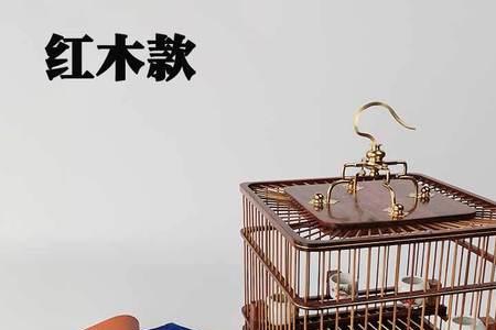 靛颏方笼多大尺寸合适