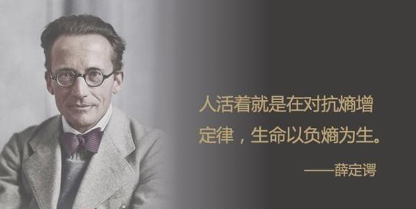 精神熵增是什么意思