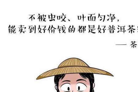别人说我普洱茶什么意思