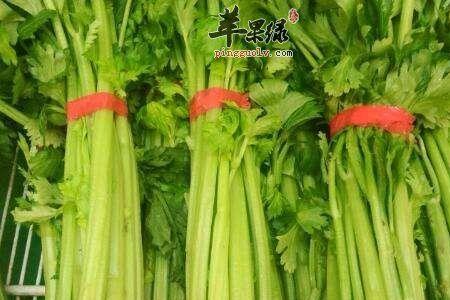 西芹香还是小香芹哪个香