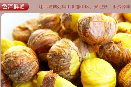 山东油栗和迁西油栗有什么区别