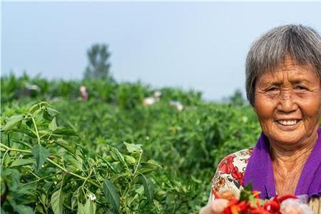 2021年种植辣椒国家有补贴吗