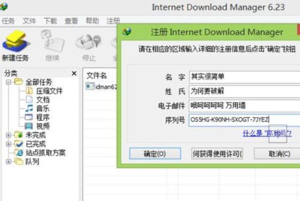idm下载显示无权限怎么解决