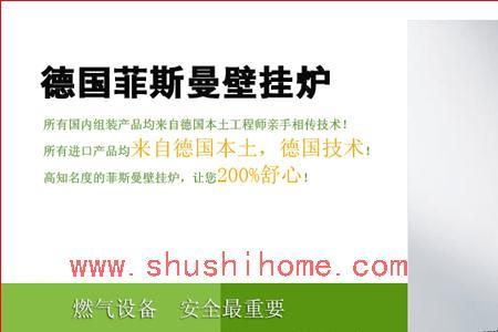 菲斯曼壁挂炉型号区别