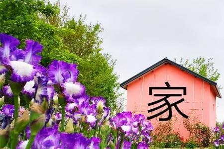 可依靠的港湾，意思