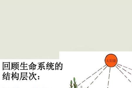 种群生存的条件