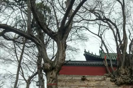 合山灵岩寺收门票吗