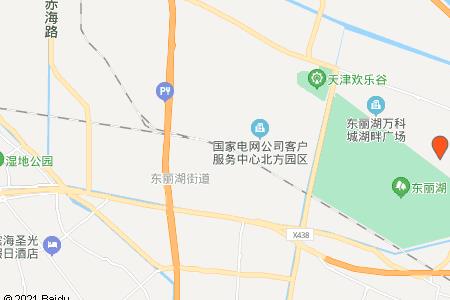 天津地铁9号线那站离东丽湖近