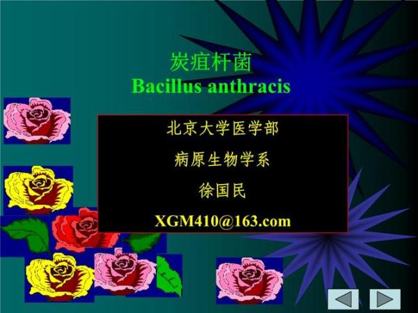 炭疽杆菌环境样品如何检测