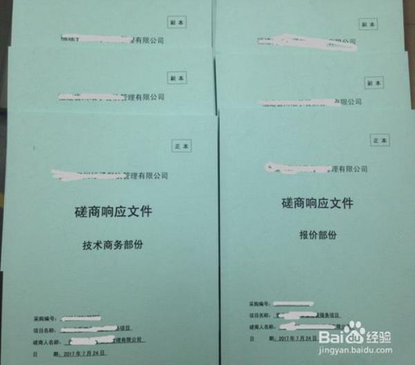 标书中正文是指什么