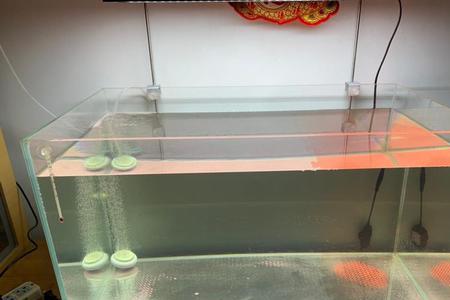 兰寿鱼缸灯高度