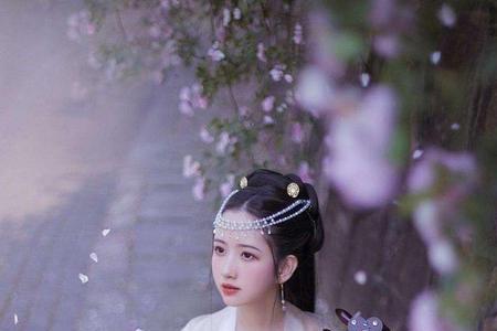 西风思念陆茗之小说结局
