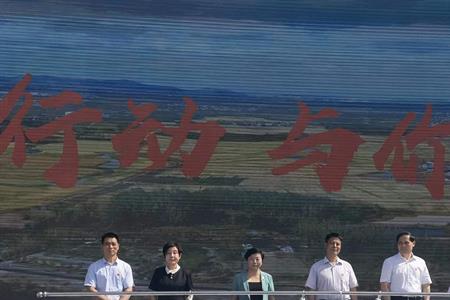 海南省乡村振兴三大行动是什么