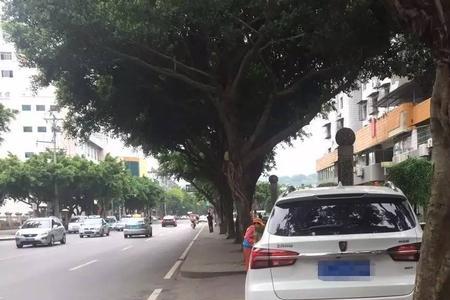 柳州随手拍汽车违章有奖励吗