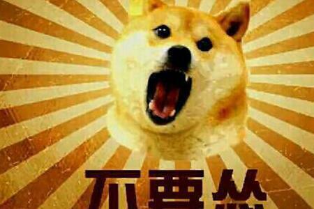 武汉话怂盒子什么意思