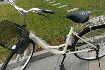什么自行车带东西好