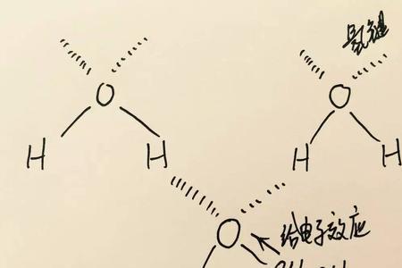羧酸怎么与水形成氢键的