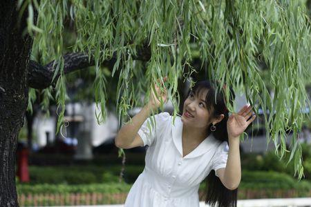 柳腰春风过整首诗