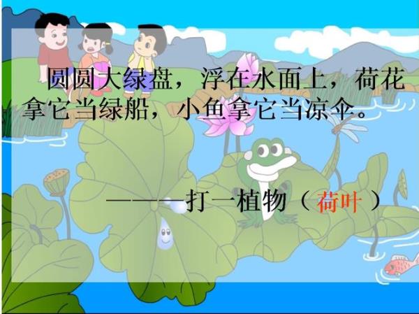 荷叶圆圆他对青蛙说仿写句子
