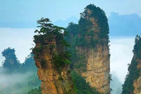 云景自由行广东旅游年卡靠谱吗