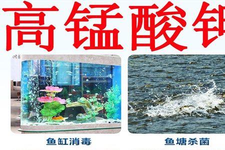 鱼塘冬季消毒用高锰酸钾