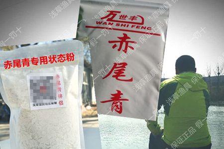赤尾青是冻的好还是免冻的好