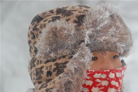 一年四季穿棉袄什么动物最怕冷