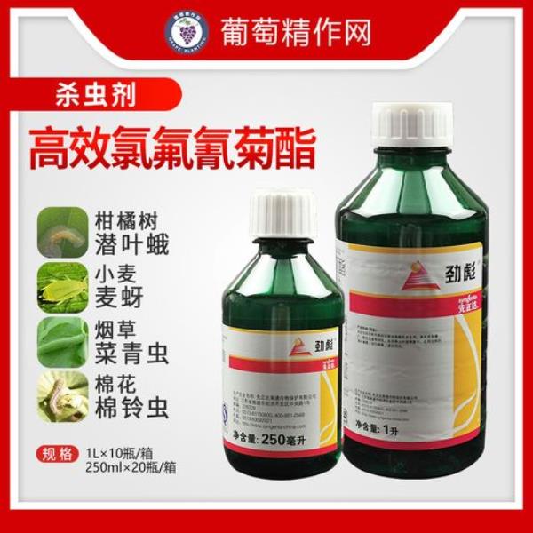 高效氯氟氰菊酯可以捕虾吗