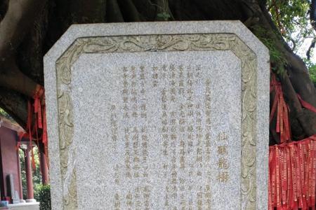 塑碑还是树碑