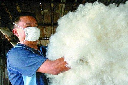 棉花和棉絮有区别吗