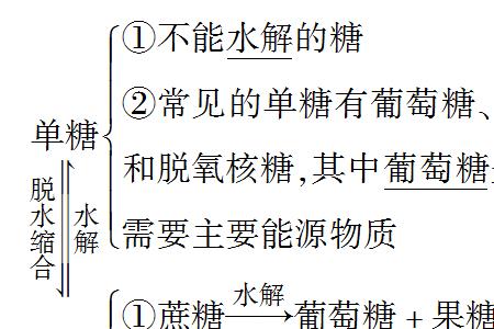 多糖什么时候水解