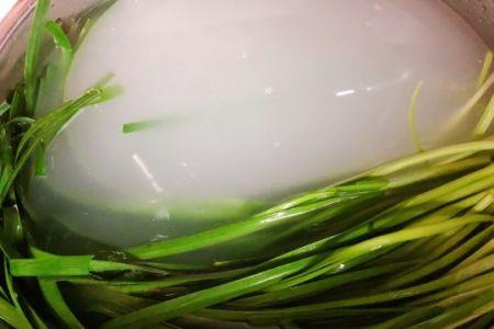 淘米水放一年了能浇青菜吗