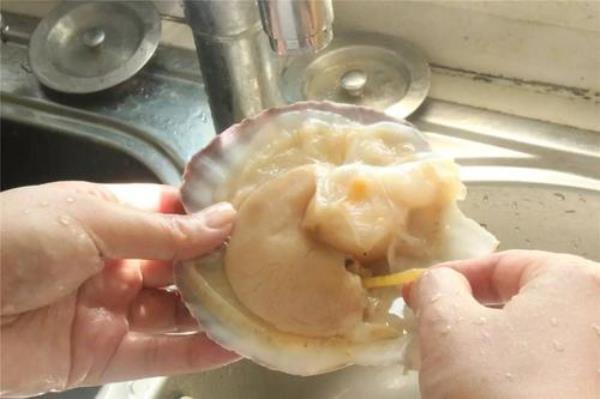 扇贝蒸熟了没吃完怎么保存