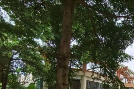 南宁银海宝贝幼儿园怎么样