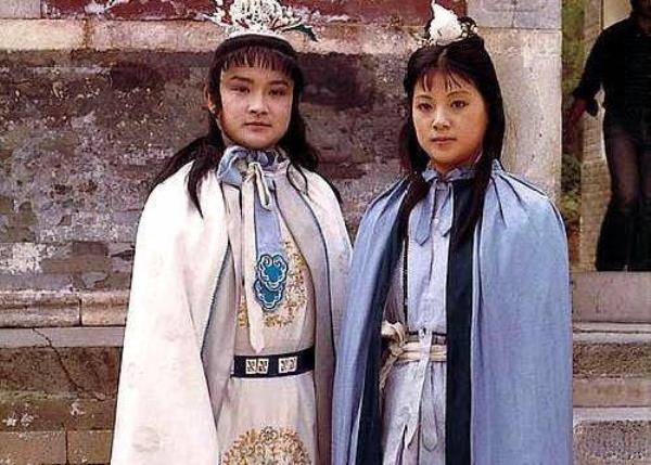 贾珠的儿子结局