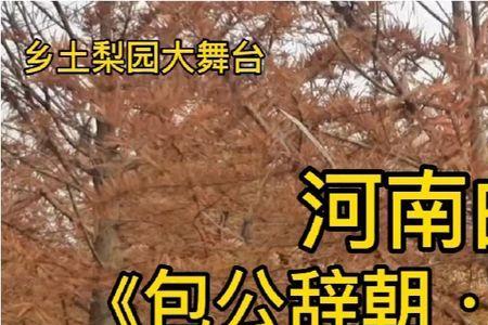 老令公什么意思