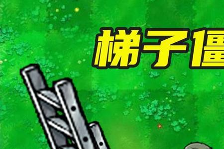 植物大战僵尸的梯子如何得到