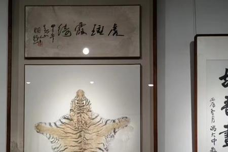 画虎难画骨猜一个数字
