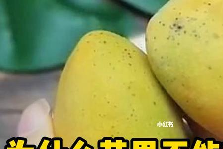 芒果误放冰箱如何补救